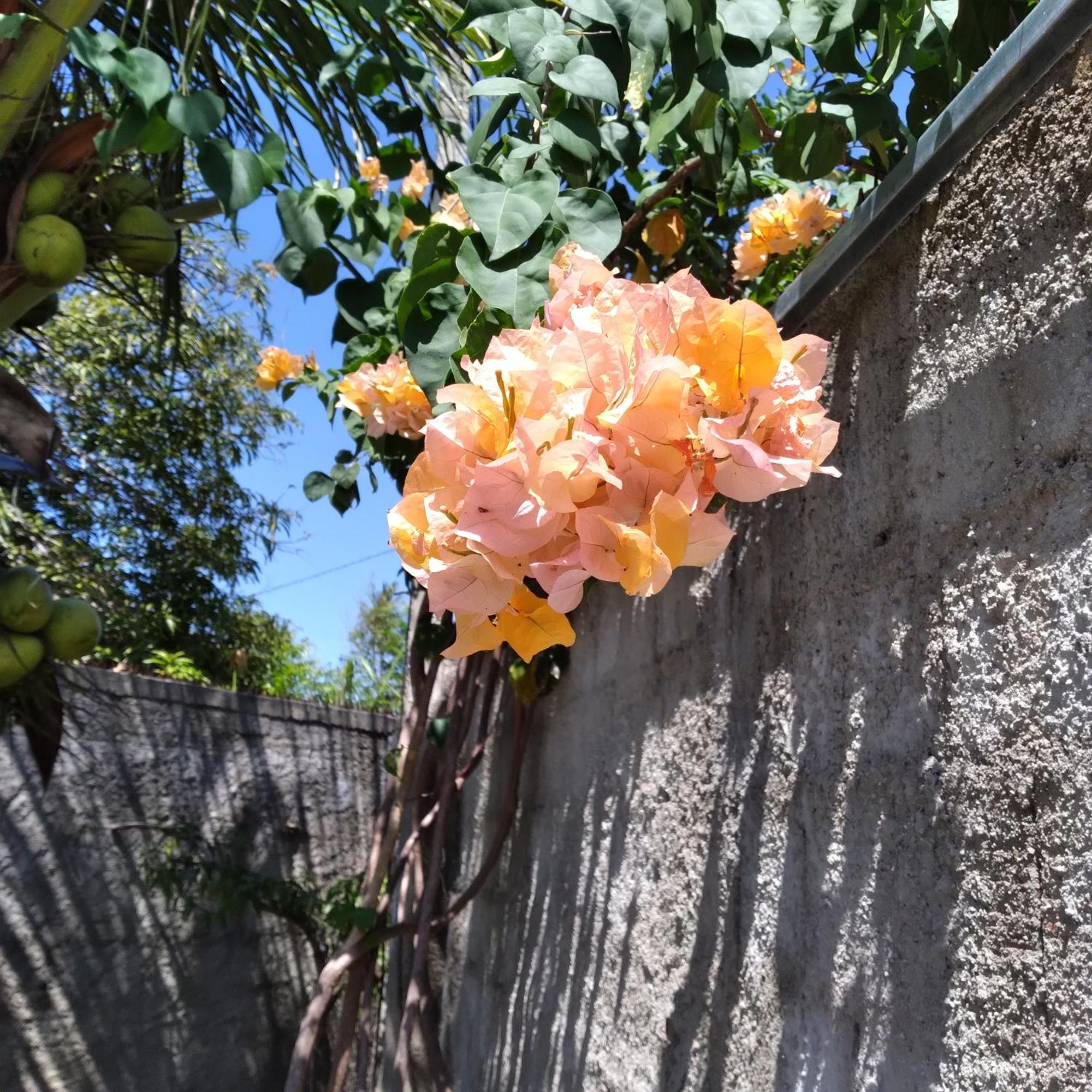 Casa China & Silva, Otima Casa Para Praia Ou Descanso, Proximo As Dunas Da Sabiaguaba E Shoppings Em Eusebio E Fortaleza Ce Екстер'єр фото